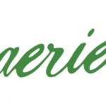 Aerie Gift Card