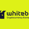 WhiteBIT Gift Card